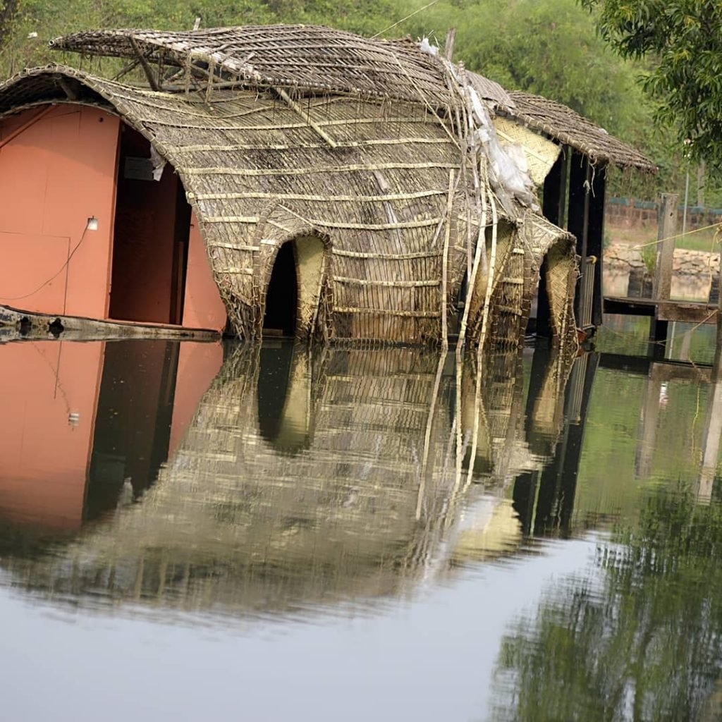 NATURE 5